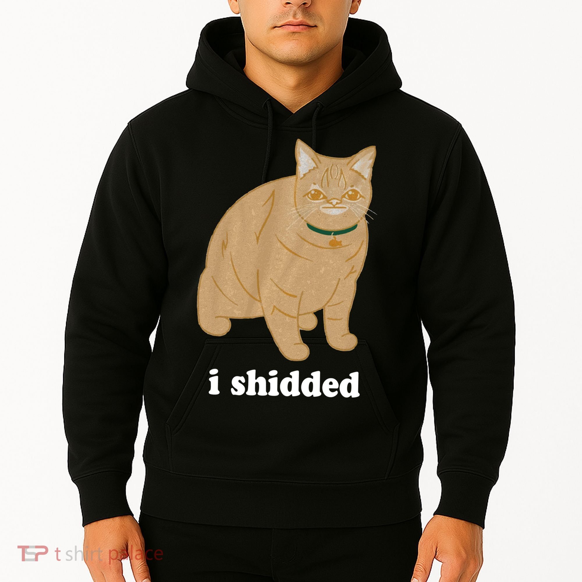 I Shidded Cat Funny Hoodie
