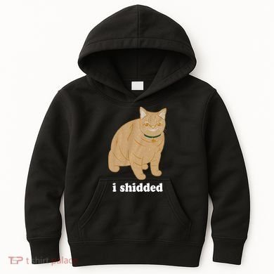 I Shidded Cat Funny Kids Hoodie