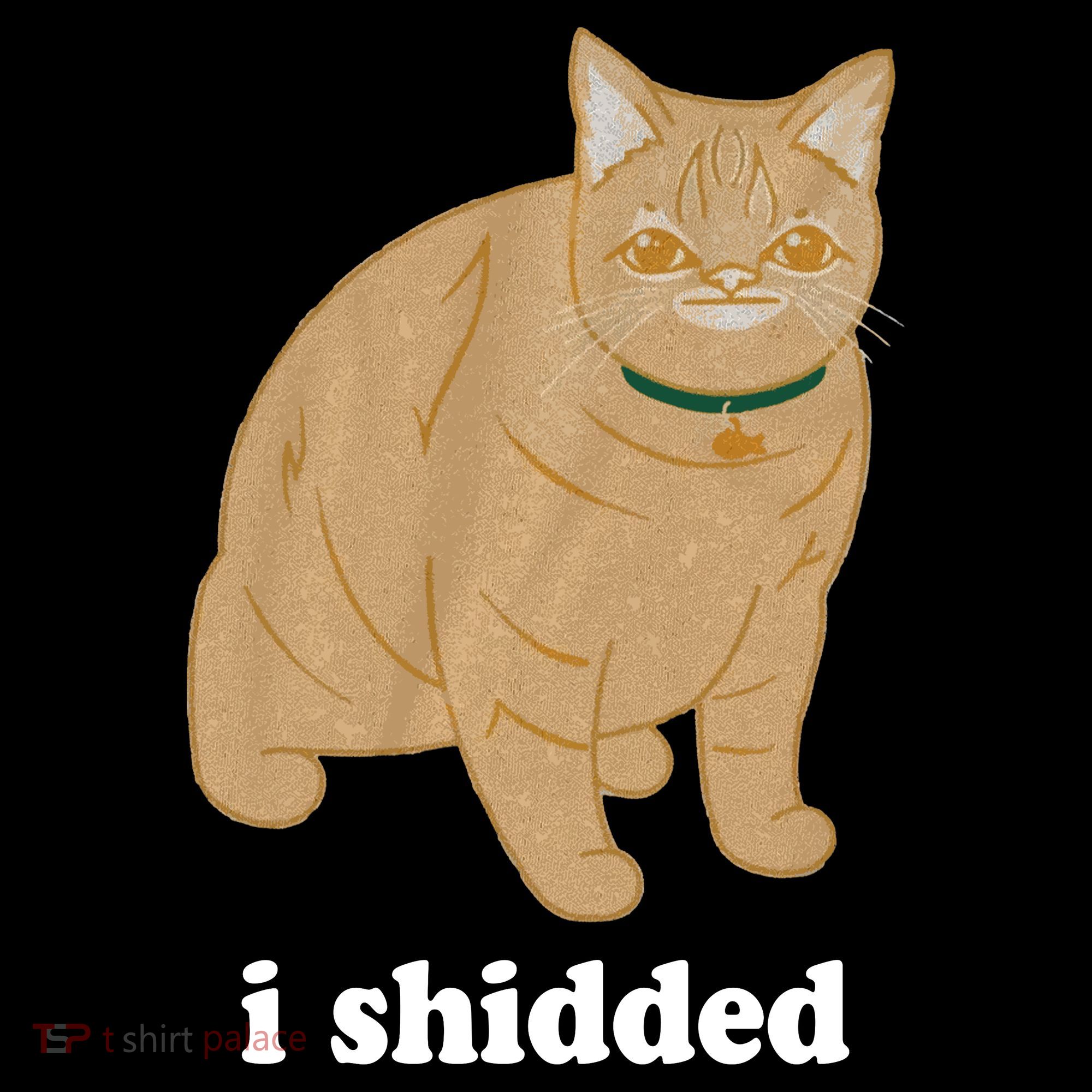 I Shidded Cat Funny Kids Hoodie