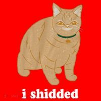 I Shidded Cat Funny Santa Hat thumb 1