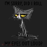 I'm Sorry Did I Roll My Eyes Out Loud, Funny Sarcastic Women's Sweatshirt thumb 2