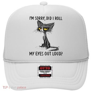 I'm Sorry Did I Roll My Eyes Out Loud, Funny Sarcastic Hat