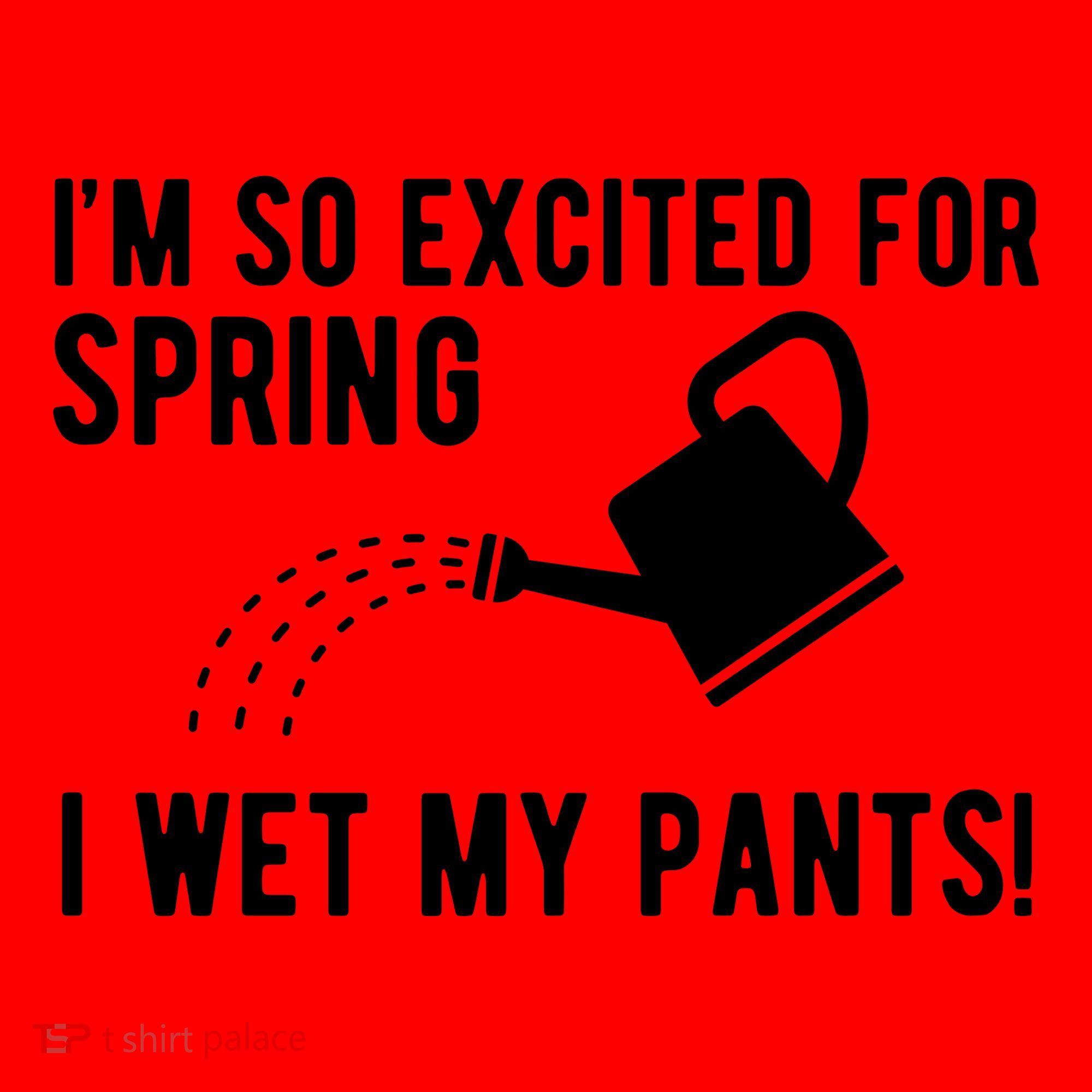 Im So Excited For Spring I Wet My Pants Funny Santa Hat