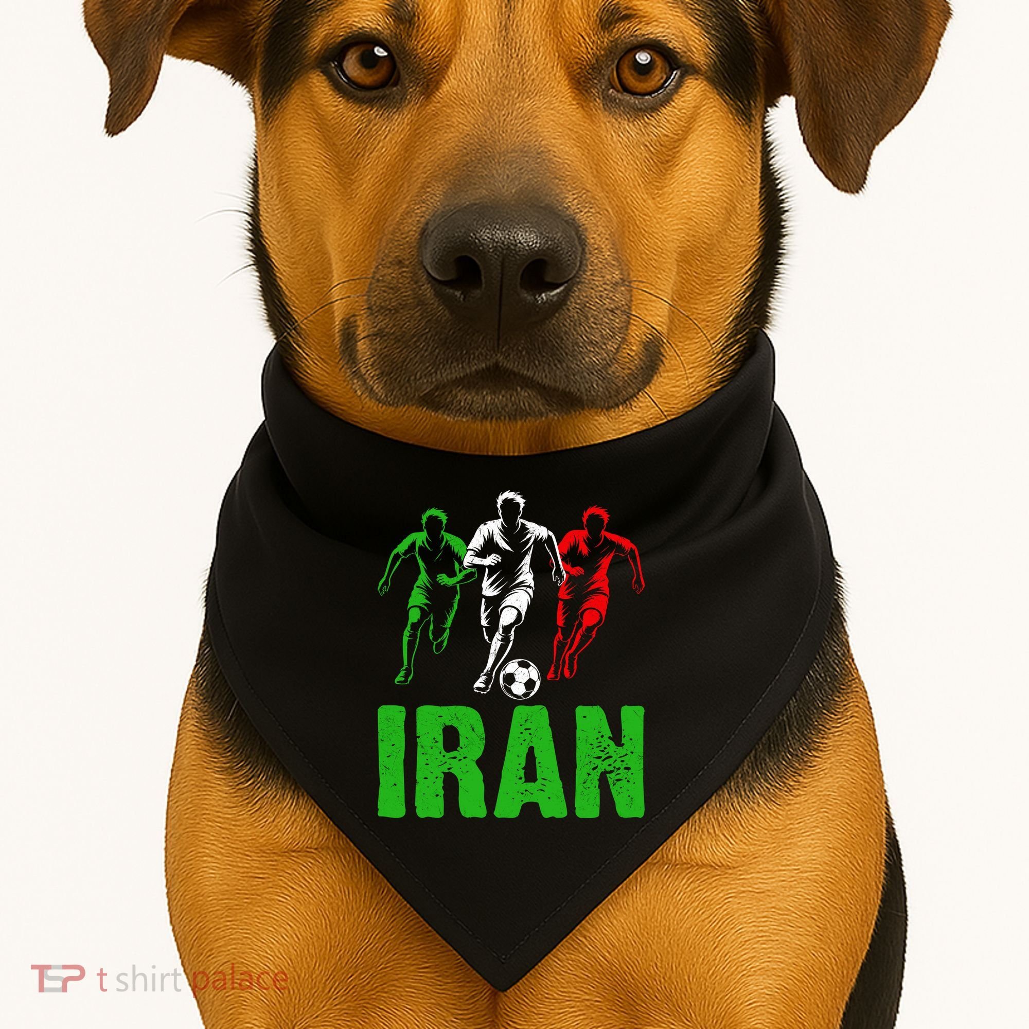 Iran Soccer Enthusiast Football Player USA-Made Doggie Bandana