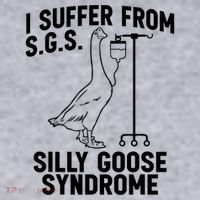 I Suffer From Silly Goose Syndrome Funny Goose Joke Humor Women's Sweatshirt thumb 2
