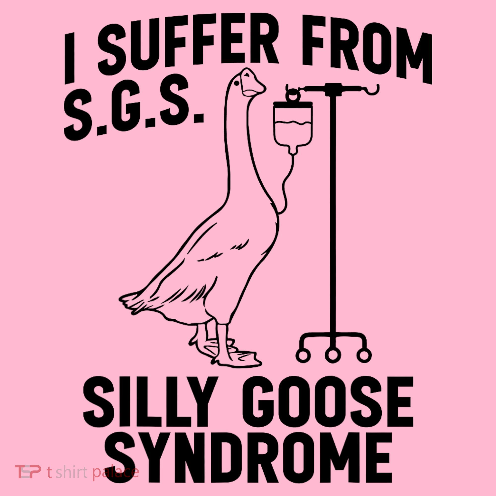 I Suffer From Silly Goose Syndrome Funny Goose Joke Humor Coaster