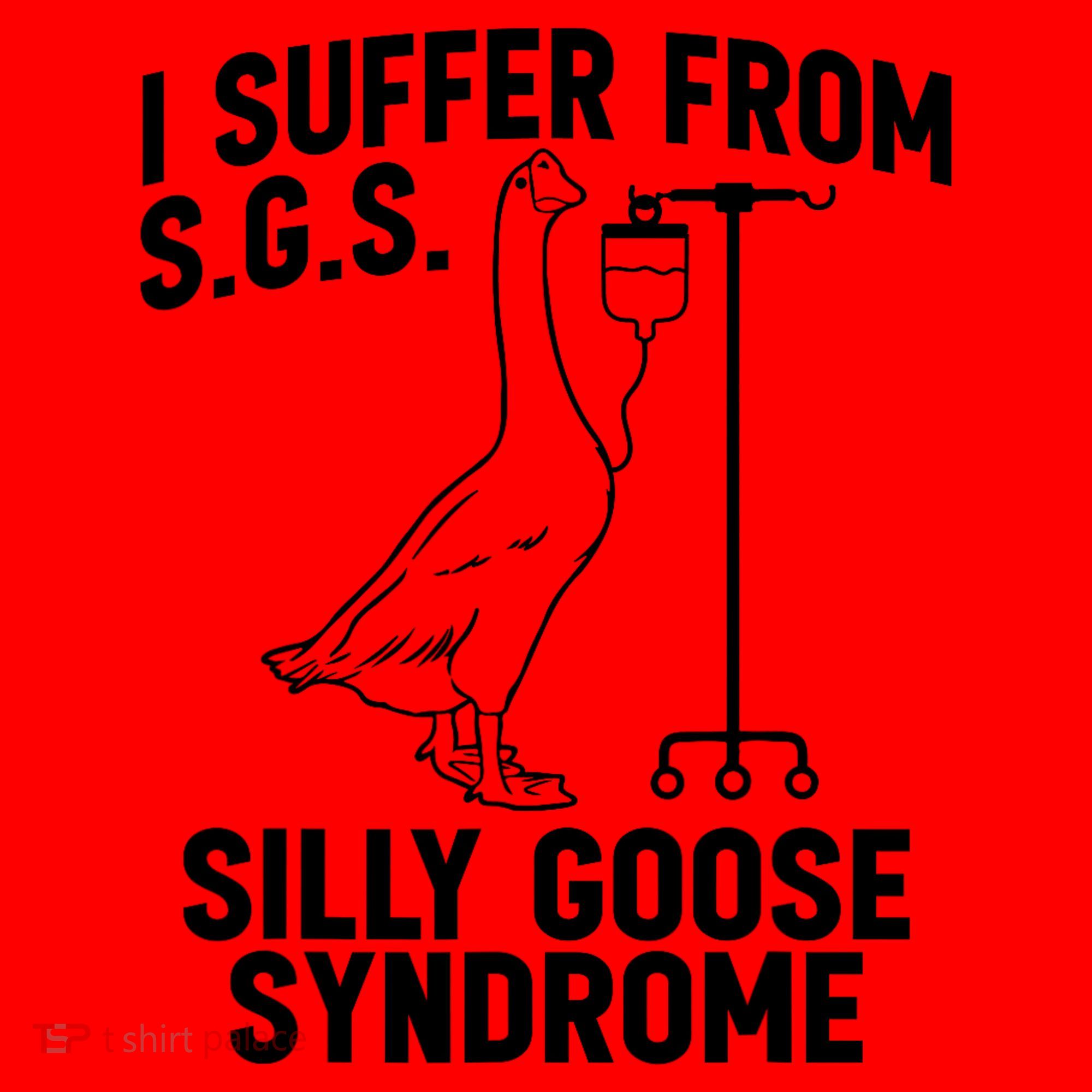 I Suffer From Silly Goose Syndrome Funny Goose Joke Humor Santa Hat