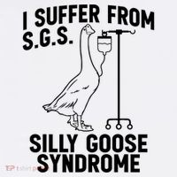 I Suffer From Silly Goose Syndrome Funny Goose Joke Humor Sweatshirt thumb 3