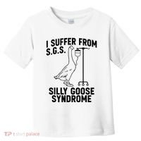 I Suffer From Silly Goose Syndrome Funny Goose Joke Humor Toddler T-Shirt thumb 0