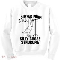 I Suffer From Silly Goose Syndrome Funny Goose Joke Humor Kids Sweatshirt thumb 0