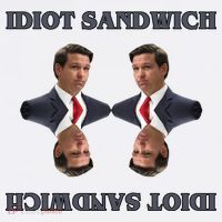 Idiot Sandwich Funny Ron DaSantis Politcal Women's Tank Top thumb 5