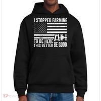 I Stopped Farming To Be Here This Better Be Good US Fllag District V.I.T. Heavyweight Hoodie thumb 0