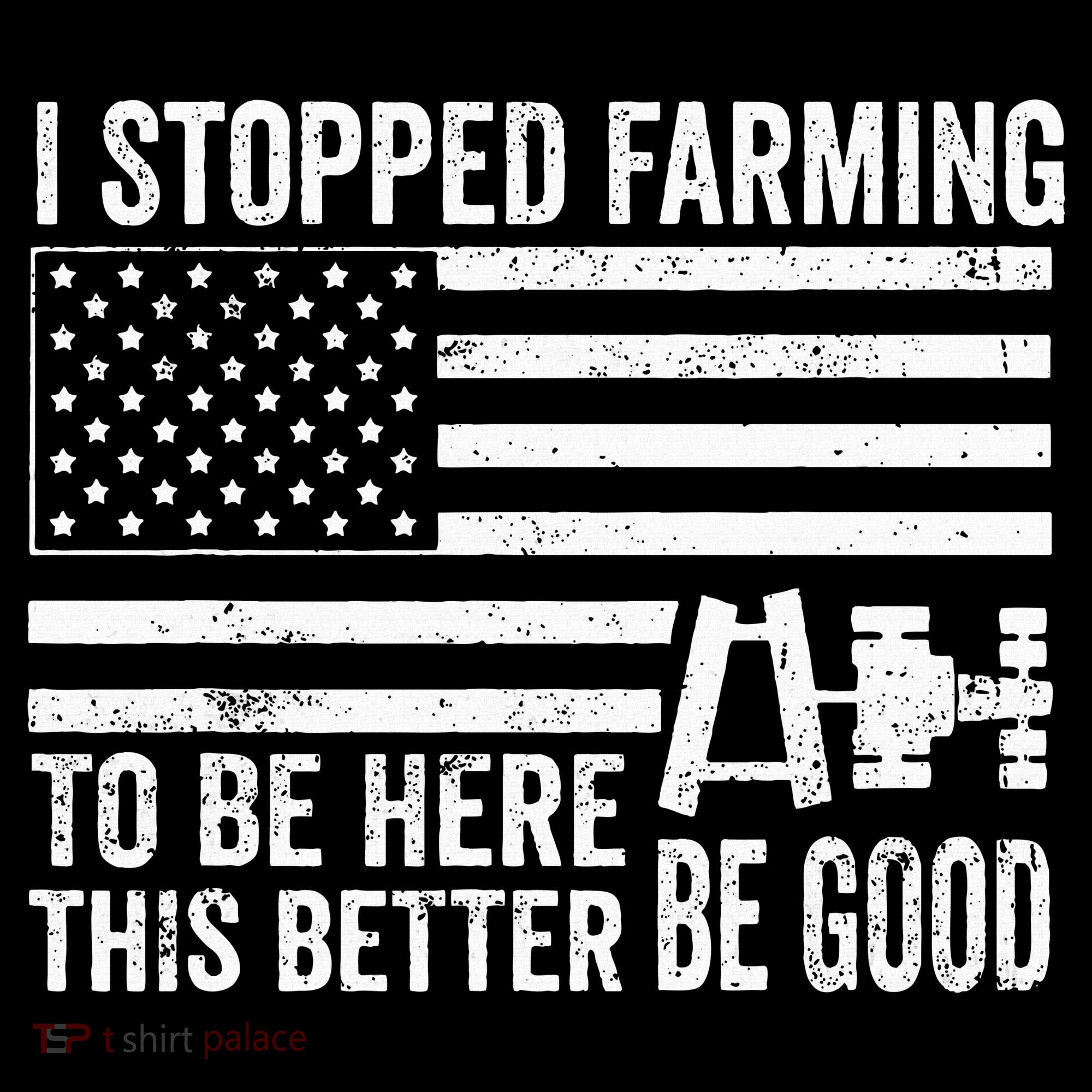 I Stopped Farming To Be Here This Better Be Good US Fllag Pom Pom 12in Knit Beanie