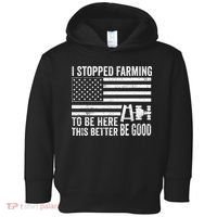 I Stopped Farming To Be Here This Better Be Good US Fllag Toddler Hoodie thumb 0