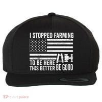 I Stopped Farming To Be Here This Better Be Good US Fllag Wool Snapback Cap thumb 0