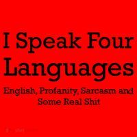 I Speak Four Languages | Funny Sayings Santa Hat thumb 1