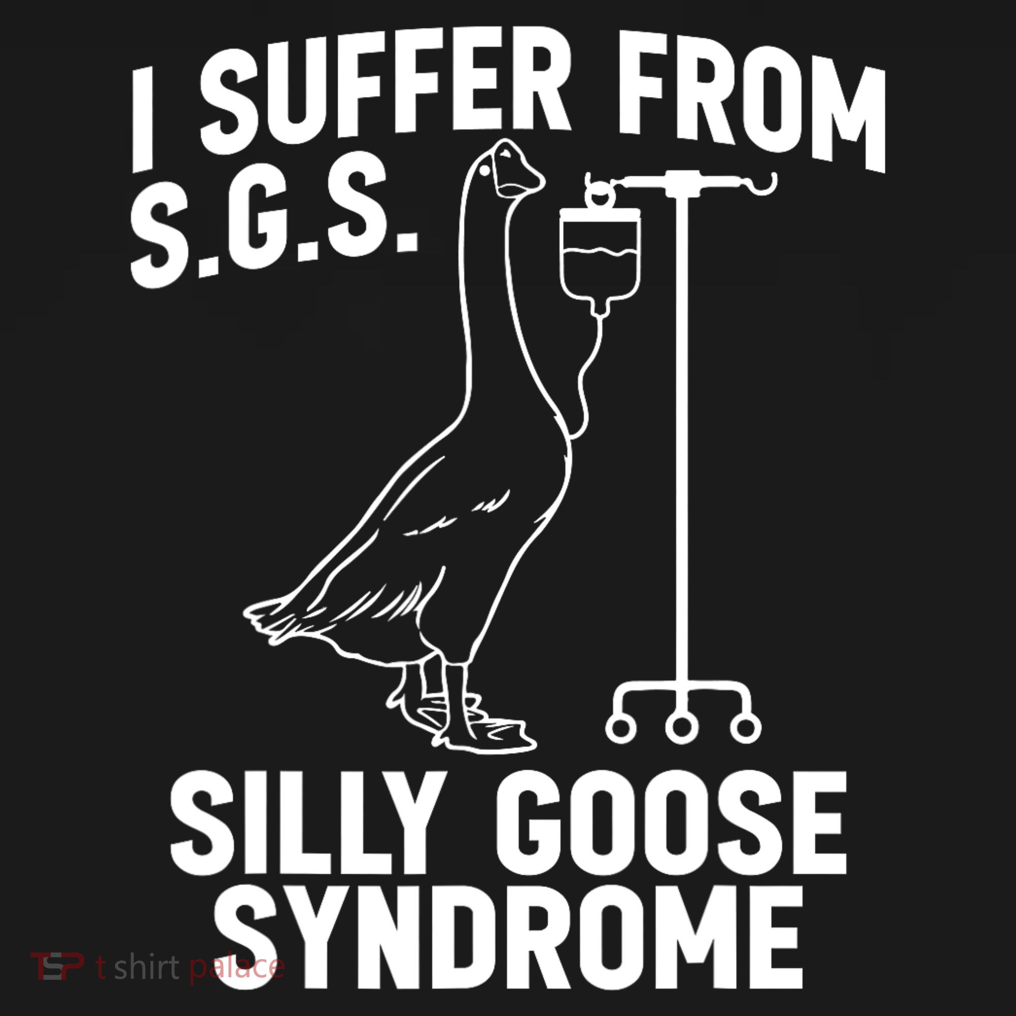 I Suffer From Silly Goose Syndrome Funny Goose Joke Humor Coaster