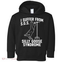 I Suffer From Silly Goose Syndrome Funny Goose Joke Humor Toddler Hoodie thumb 0