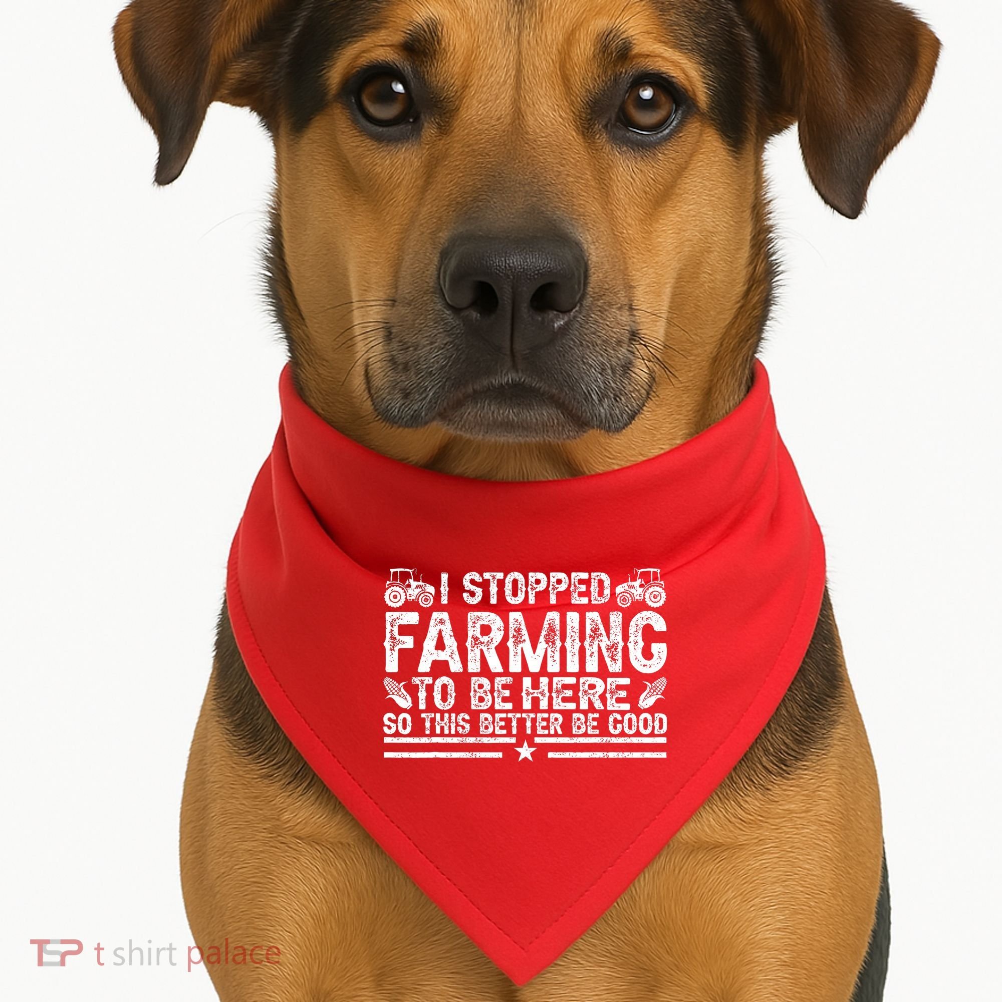 I Stopped Farming To Be Here This Better Be Good USA-Made Doggie Bandana