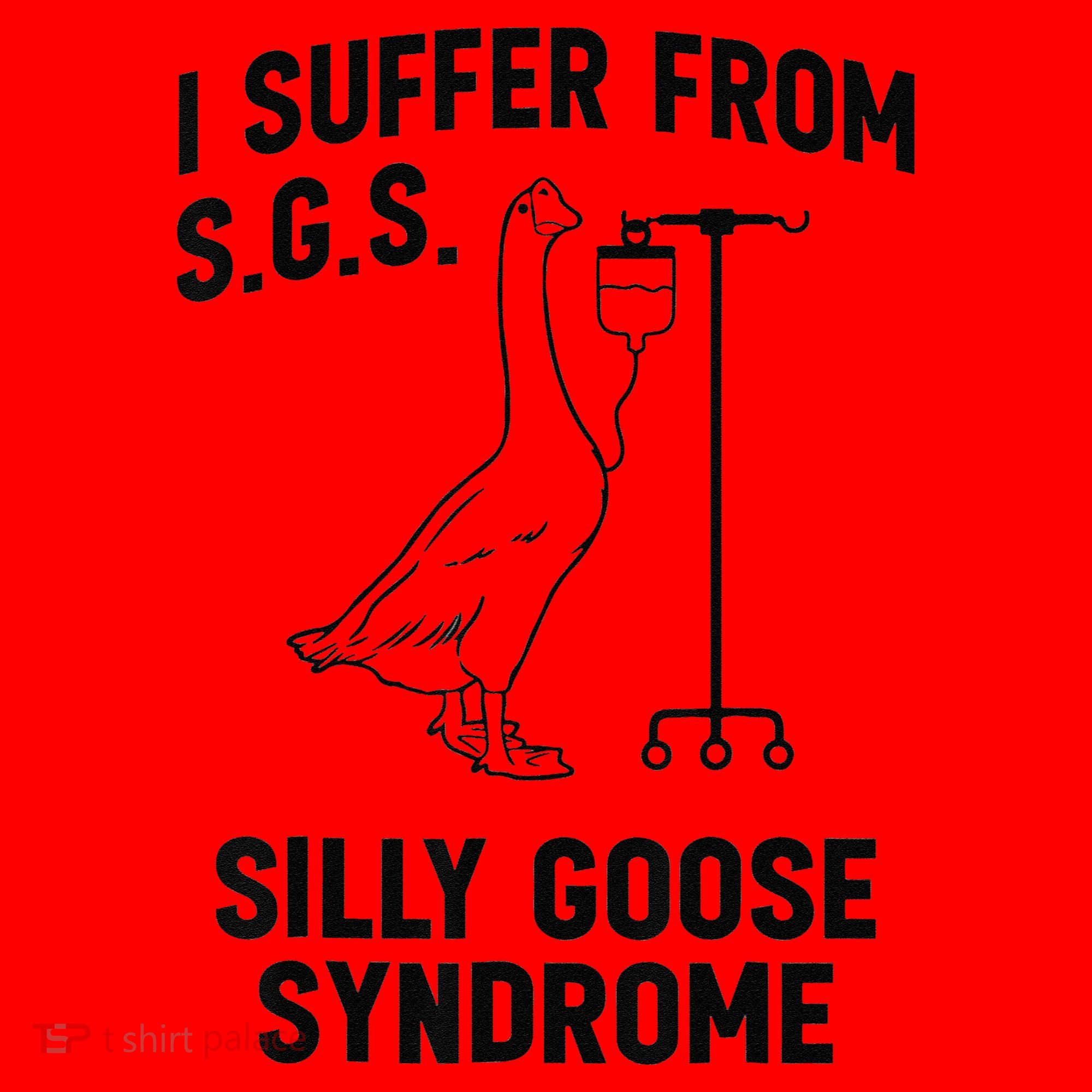 I Suffer From Silly Goose Syndrome Santa Hat
