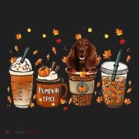 Irish Setter Fall Pumpkin Spice Latte Mug Women's Sweatshirt thumb 2