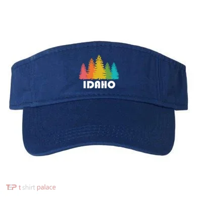 Visor