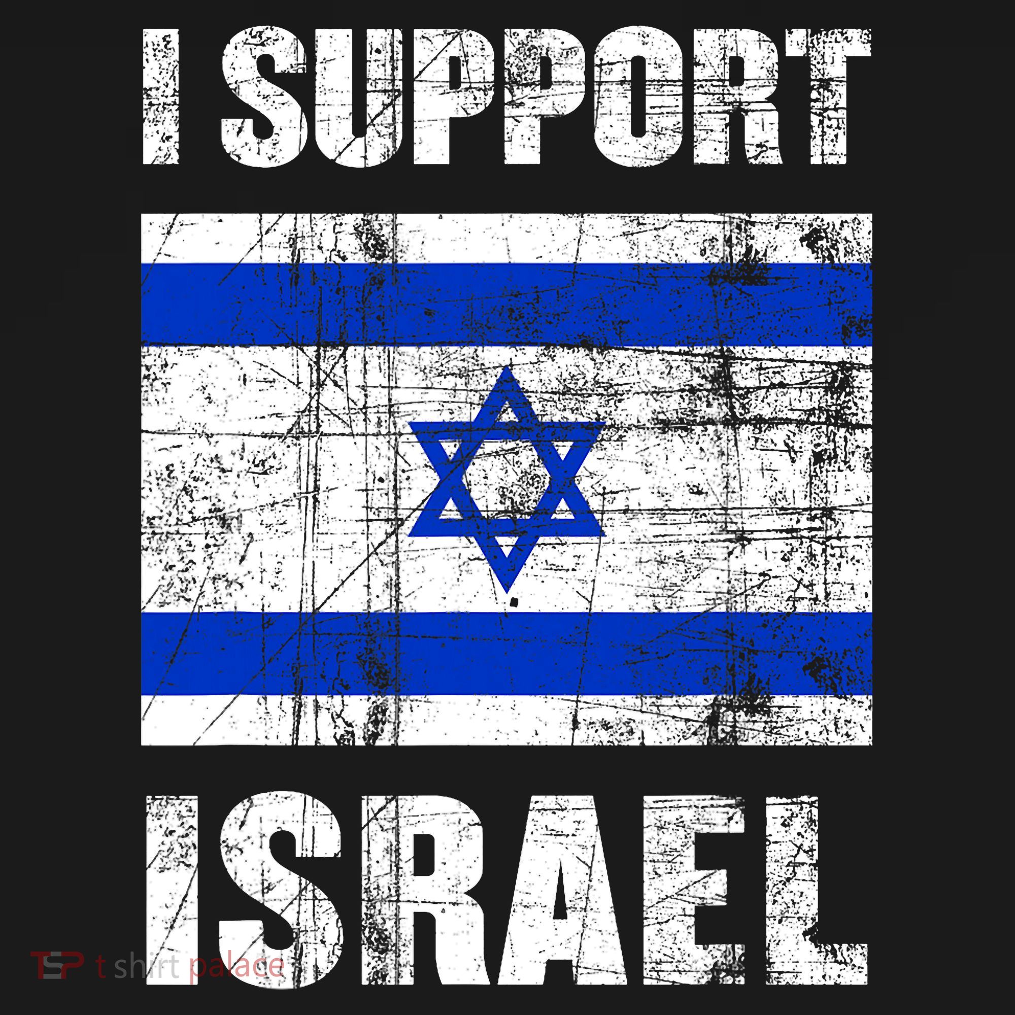 I Support Israel We Stand With Israel I Stand With Israel Toddler Hoodie