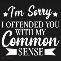 I'm Sorry If I Offended You With My Common Sense Women's Hoodie thumb 2