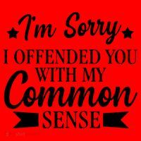 I'm Sorry If I Offended You With My Common Sense Santa Hat thumb 1