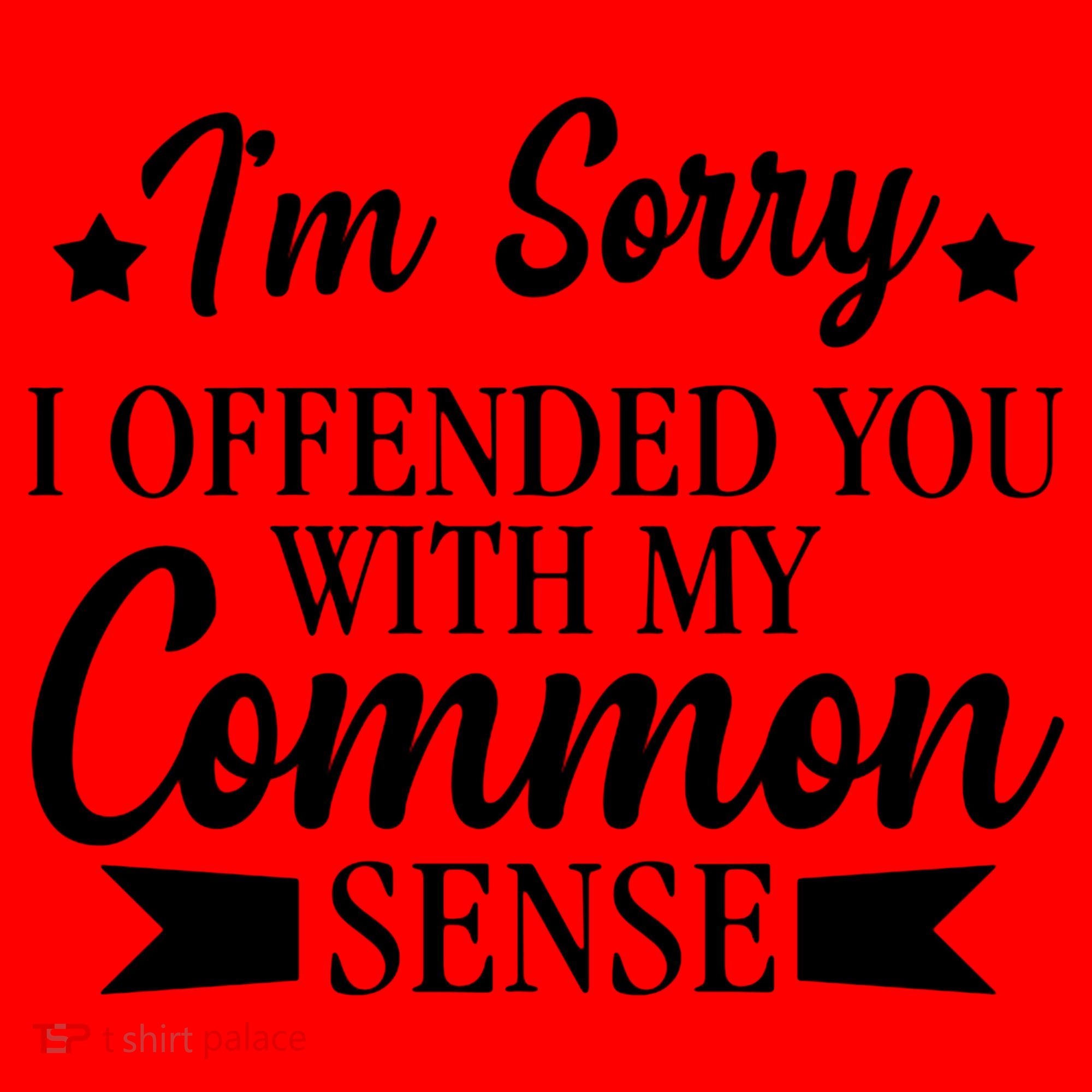 I'm Sorry If I Offended You With My Common Sense Santa Hat