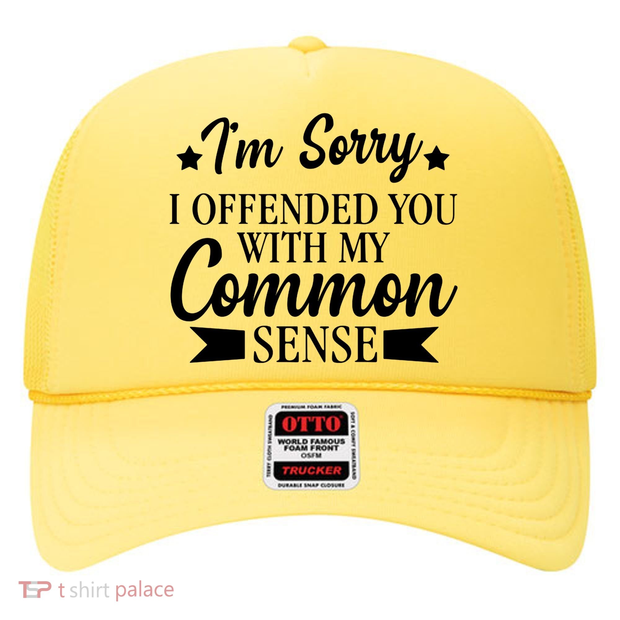 I'm Sorry If I Offended You With My Common Sense Hat
