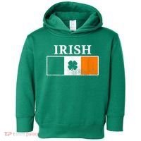 Ireland Shamrock Irish Flag St Patty's Day Toddler Hoodie thumb 0