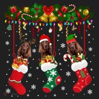 Irish Setter In Sock Xmas Reindeer Santa Elf Dog Gift Women's Sweatshirt thumb 2