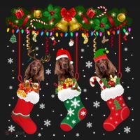 Irish Setter In Sock Xmas Reindeer Santa Elf Dog Gift Women's Hoodie thumb 2