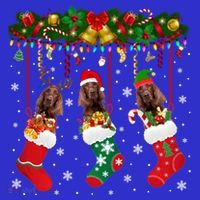 Irish Setter In Sock Xmas Reindeer Santa Elf Dog Gift Mousepad thumb 1