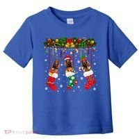 Irish Setter In Sock Xmas Reindeer Santa Elf Dog Gift Toddler T-Shirt thumb 0
