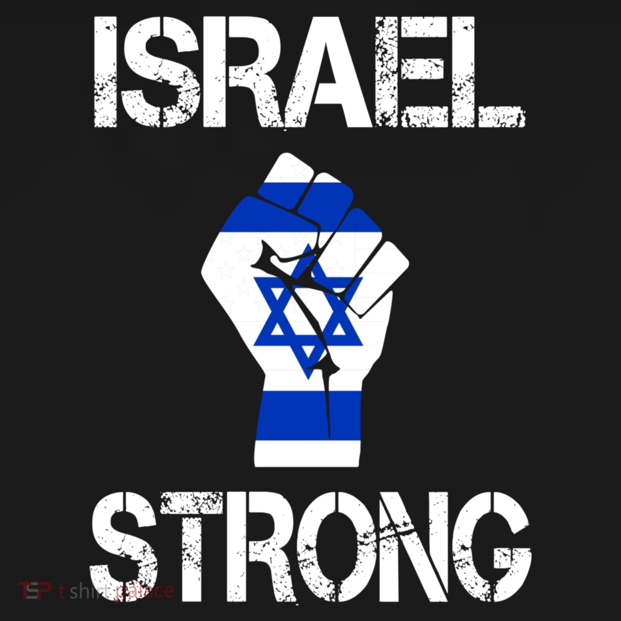 Israel Strong I Stand With Israel Israeli Flag Support Sweatshirt