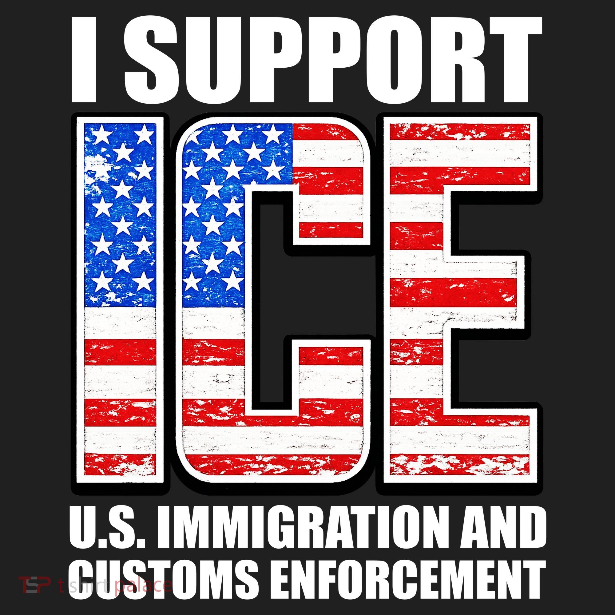 I Support ICE US Immigration And Customs Enforcement Beanie
