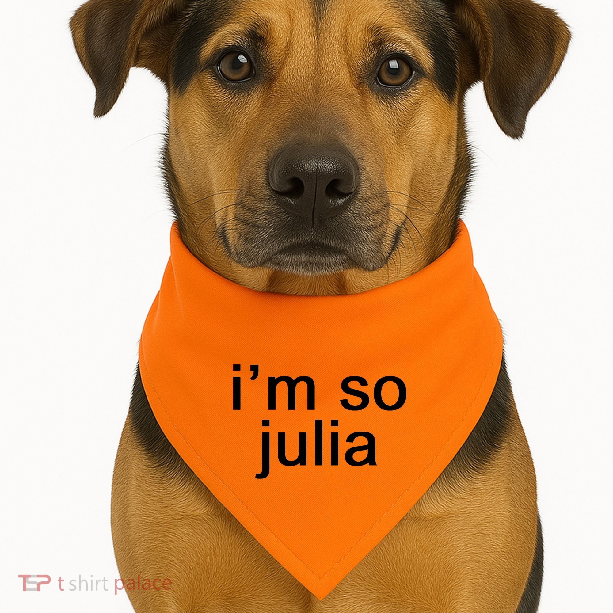 IM So Julia Funny Slang Sarcasm Fashion Statement USA-Made Doggie Bandana