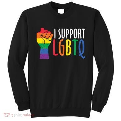 I Support Lgbtq Sweatshirt