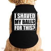 I Shaved My Balls For This Doggie Tank thumb 0
