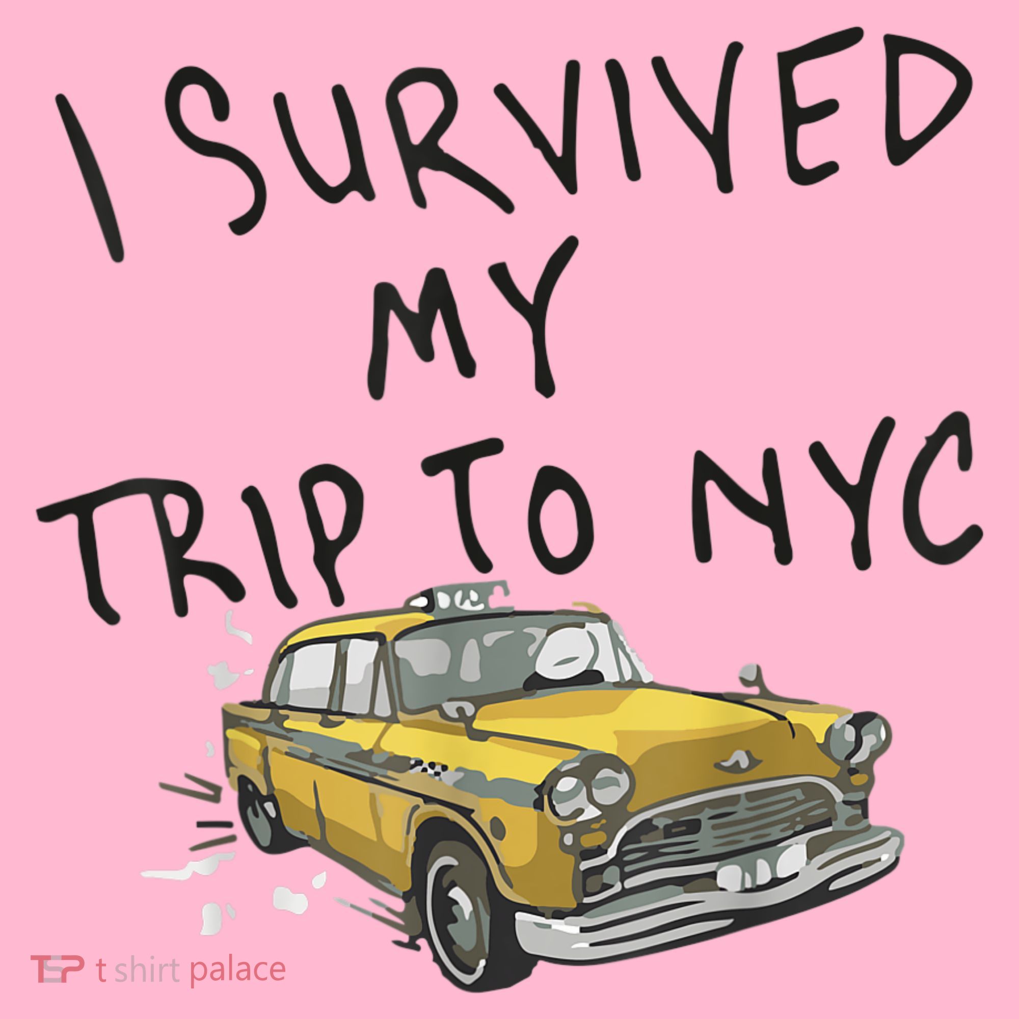 I Survived My Trip To NYC Coaster
