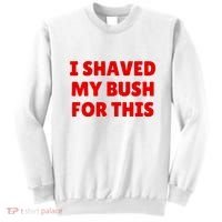 I Shaved My Bush For This Funny Pool Party Sweatshirt thumb 0