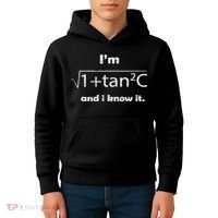 I'm Sexy Math Humor I'm Sec C And I Know It Mathematics Love Kids Hoodie thumb 4