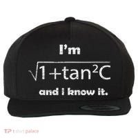 I'm Sexy Math Humor I'm Sec C And I Know It Mathematics Love Wool Snapback Cap thumb 0
