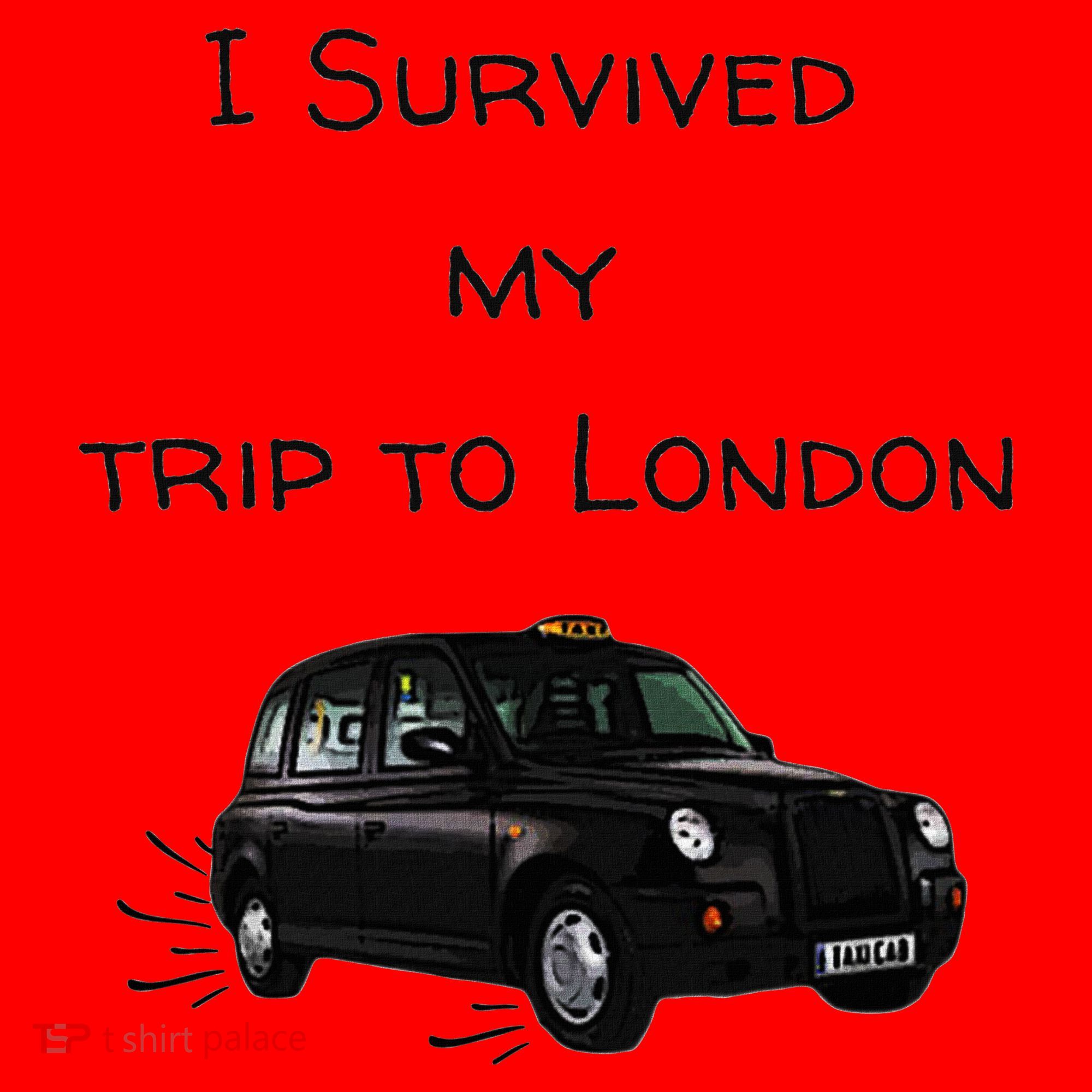 I Survived My Trip To London I Love Ldn London Black Cab Santa Hat