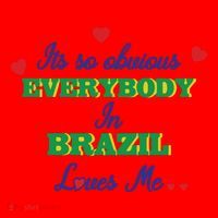 Its So Obvious Everybody In Brazil Loves Me New Santa Hat thumb 1