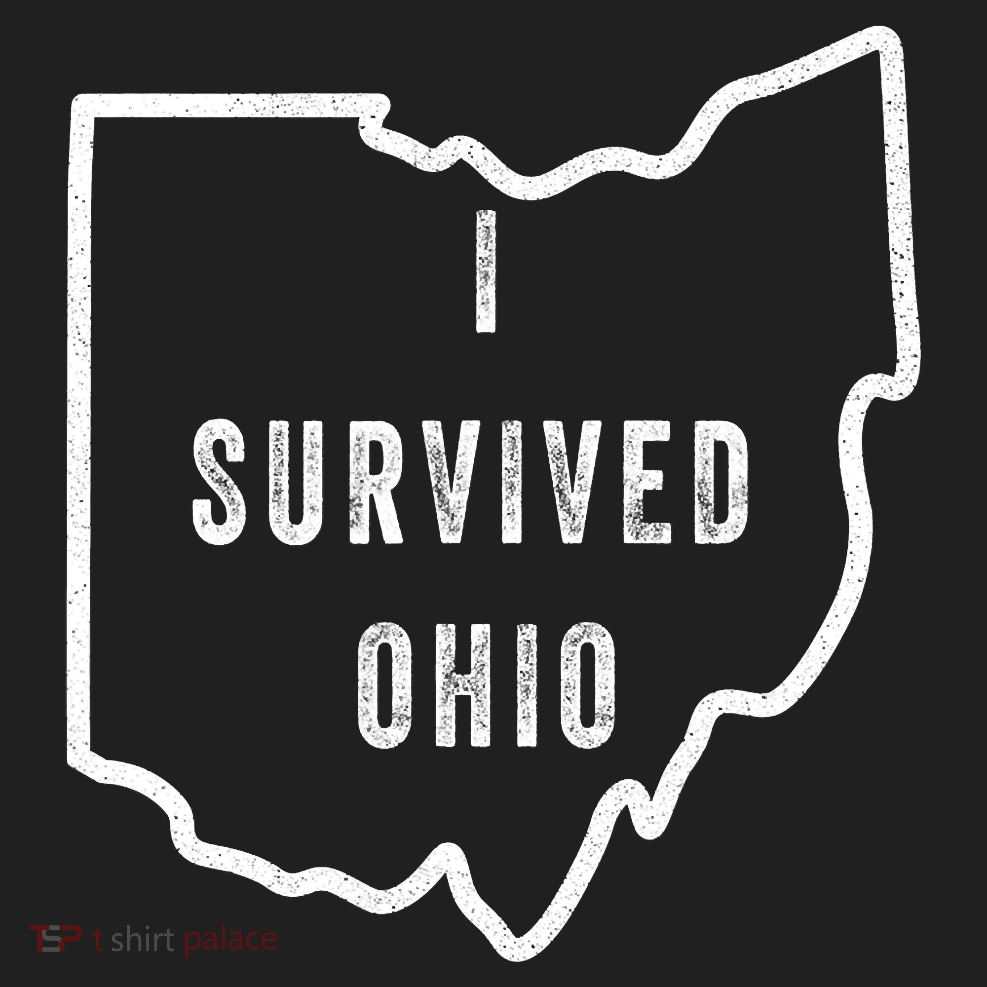 I Survived Ohio Meme Beanie