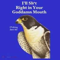 I’Ll Sht Right In Your Goddamn Mouth Button thumb 1