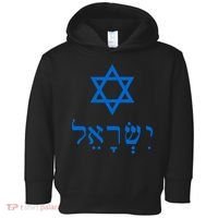 Israel Star Of David In Hebrew Toddler Hoodie thumb 0